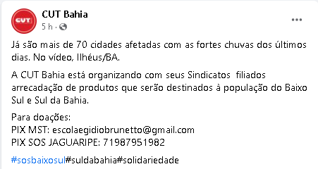 Divulgação