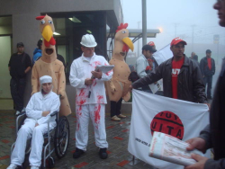 ReduÃ§Ã£o do ritmo e estabelecimento de pausas estÃ£o entre as prioridades dos trabalhadores na NR