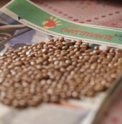 Sobre a mesa, na sede do assentamento: feijÃ£o e plebiscito