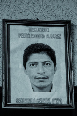 Pedro Zamora, exemplo de determinaÃ§Ã£o e coragem