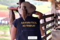 108 trabalhadores são resgatados em condições análogas à escravidão em Vila Boa (GO)