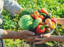 Contag: Agricultura familiar é essencial na segurança alimentar e na economia