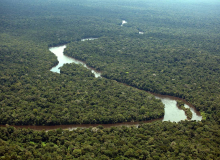 Central condena extinção de reserva na Amazônia