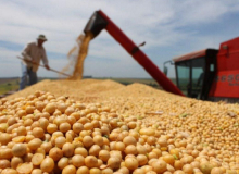 Na ONU, Bolsonaro mente em dizer que Brasil ajuda a alimentar o mundo