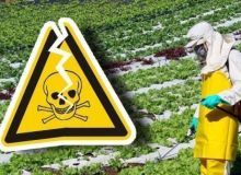 Programa do Ministério da Agricultura revela contaminação em alimentos