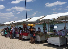 BA: Agricultura Familiar é sucesso em Feira de Santana