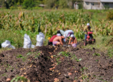 A história dos 13 agricultores presos por Moro e depois absolvidos