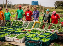 COP30 poderá gerar R$ 3,3 milhões para agricultores familiares