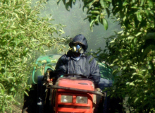 Bayer, dona da Monsanto, é alvo de mais de 18 mil processos nos EUA