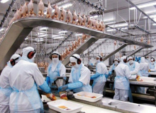 Agronegócio pode ter contaminado com Covid-19 400 mil trabalhadores, diz Contac-CUT