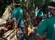 Funcionário da Funai que combatia mineração ilegal em áreas indígenas é demitido