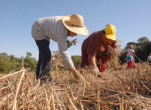 Só Lula e Boulos falam em reforma agrária em seus programas de governo