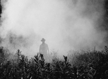 Desde o golpe contra Dilma, 1,2 mil novos agrotóxicos foram liberados no Brasil