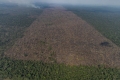 Em votação no Senado, ‘PL da Devastação’ enfraquece preservação ambiental
