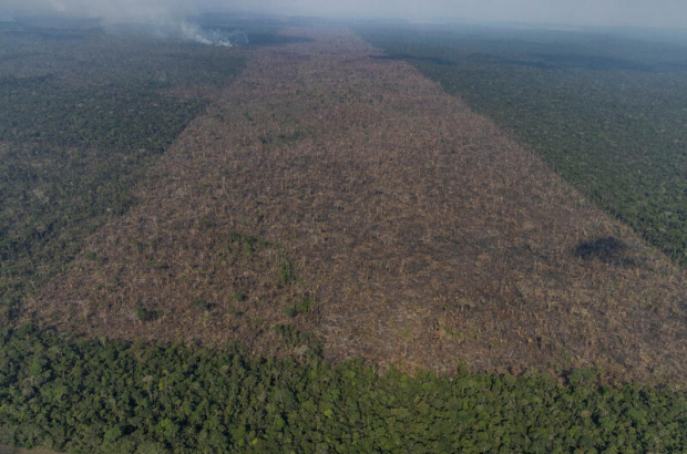 Em votação no Senado, ‘PL da Devastação’ enfraquece preservação ambiental