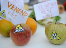 Anvisa aponta que mais da metade dos vegetais está contaminada com veneno no Brasil