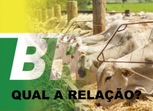 Quando o Brasil vira refém da ureia de outros países