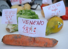 Na sexta, saiba como o agrotóxico pode te matar