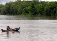 Defensora da Amazônia, cabeça de Maria vale apenas R$ 50