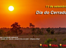Cerrado: indispensável para o Brasil, mas ameaçado pelo agronegócio!