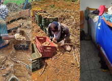 500 trabalhadores são resgatados de regime análogo à escravidão em 2022