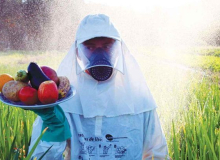 Aprovado projeto que prevê a redução do uso de agrotóxicos na comida