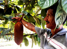 Deputados aprovam projetos que pioram a vida do trabalhador rural