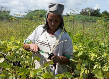 Assentamento Liberdade: 20 anos de resistência, luta e produção