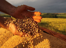 Em ofício, CNA e ruralistas atacam liberação de agrotóxico que mata lavouras