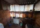 Sete paraguaios são resgatados de trabalho escravo em colheita de mandioca no MS