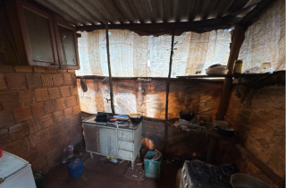 Sete paraguaios são resgatados de trabalho escravo em colheita de mandioca no MS