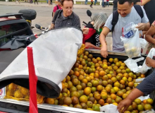 DF: Distribuição de laranjas marca dia de luta contra a reforma da Previdência