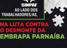 Sindicato denuncia desmonte em unidade de pesquisa da Embrapa no Piauí