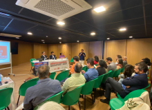 Transição energética avança no Nordeste e gera denúncias de violações