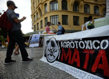Agrotóxicos matam um brasileiro a cada 3 dias e intoxicam outros 8 diariamente