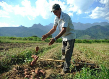 Com 60% das aposentadorias negadas, agricultores se queixam de novas regras