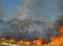Brigadistas voltam a combater incêndios florestais depois de confusão do governo