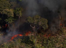Com Bolsonaro, número de multas por crimes ambientais na Amazônia cai 93%