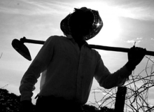 Repúdio pelo massacre de trabalhadores e trabalhadora rurais