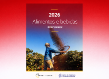 Relatório internacional aponta indícios de trabalho forçado na colheita de café