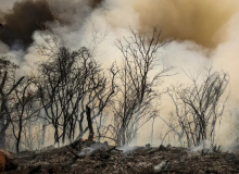 Risco de retrocesso: Congresso ameaça derrubar vetos de Lula ao PL da Devastação