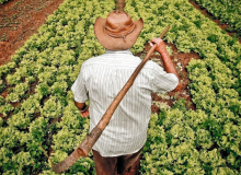 Sem orçamento, 2017 pode terminar sem política para o campo