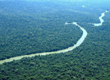 Amazônia: novo decreto de Temer é "cortina de fumaça"