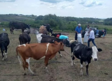 Agricultores familiares do RS promovem ato em frente ao Banco Central nesta terça