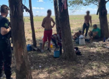 Sobe para 82 o número de resgatados em fazendas de arroz em Uruguaiana (RS)