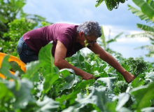 Agricultura familiar sofre, mas latifundiários são perdoados