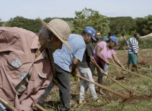 Cineasta brasileira leva luta do MST à Berlim