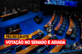 Mobilização da CUT faz Senado adiar votação da PEC 66, mas a luta continua