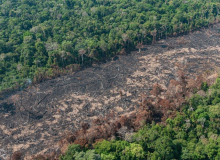 Governo Bolsonaro: Amazônia registra maior devastação em 15 anos