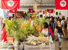 Feira Estadual Cícero Guedes: Uma campanha pela direto à alimentação e pela vida